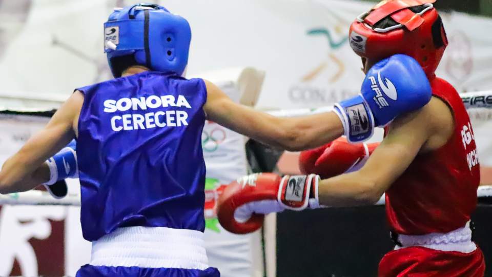 MANTIENEN PUGILISTAS SONORENSES EL PASO GANADOR EN MACRO REGIONAL